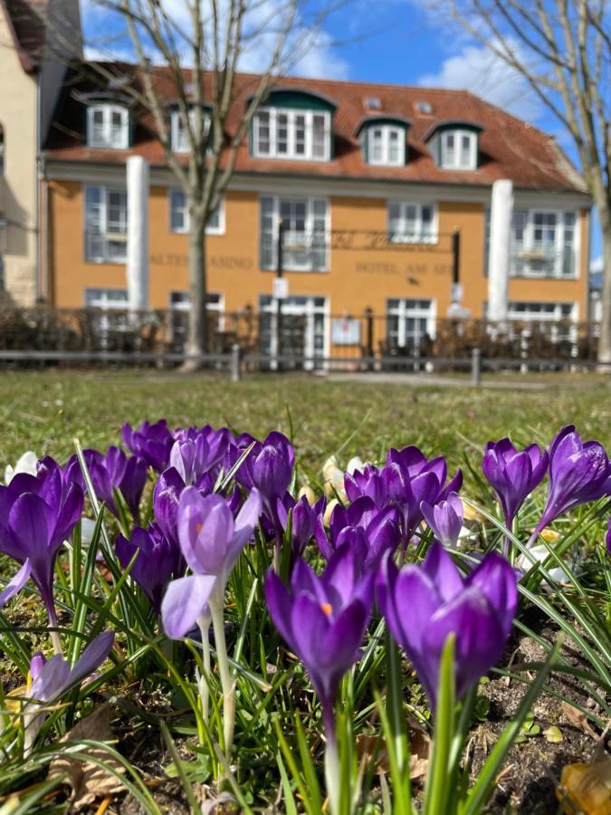 Altes Kasino Hotel am See Neuruppin Exterior foto